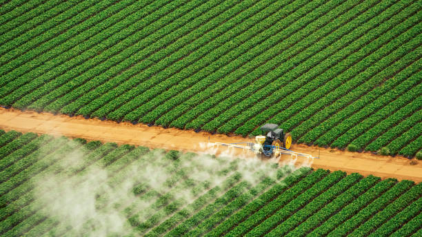 Pest Control Cost in North Vernon, IN