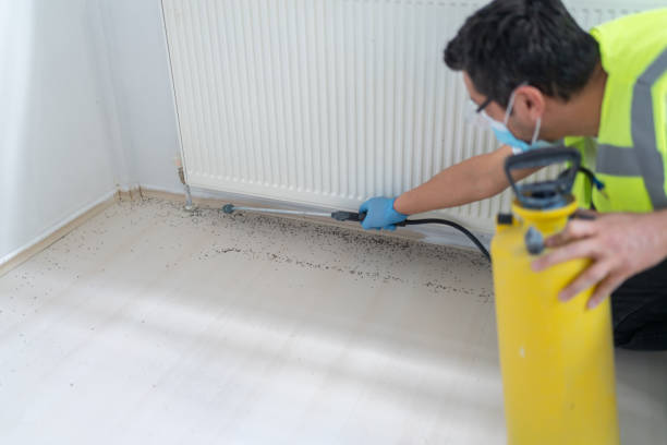 Reliable North Vernon, IN Pest Control Solutions